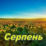 Основні зміни для українців з 1 серпня: виплати, штрафи та оновлення