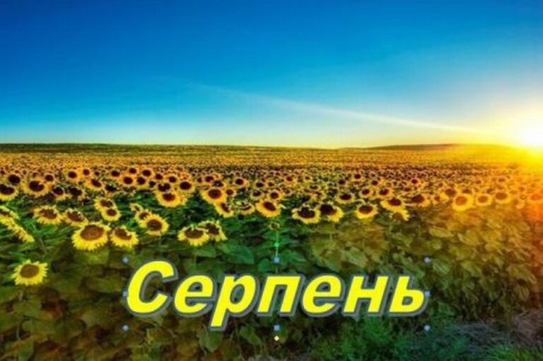 Основні зміни для українців з 1 серпня: виплати, штрафи та оновлення