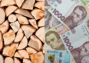 19 400 грн на тверде паливо для мешканців Краматорська. Як отримати?