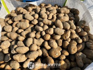 Видача картоплі від Християнська Місія «Нове Життя». Як отримати?